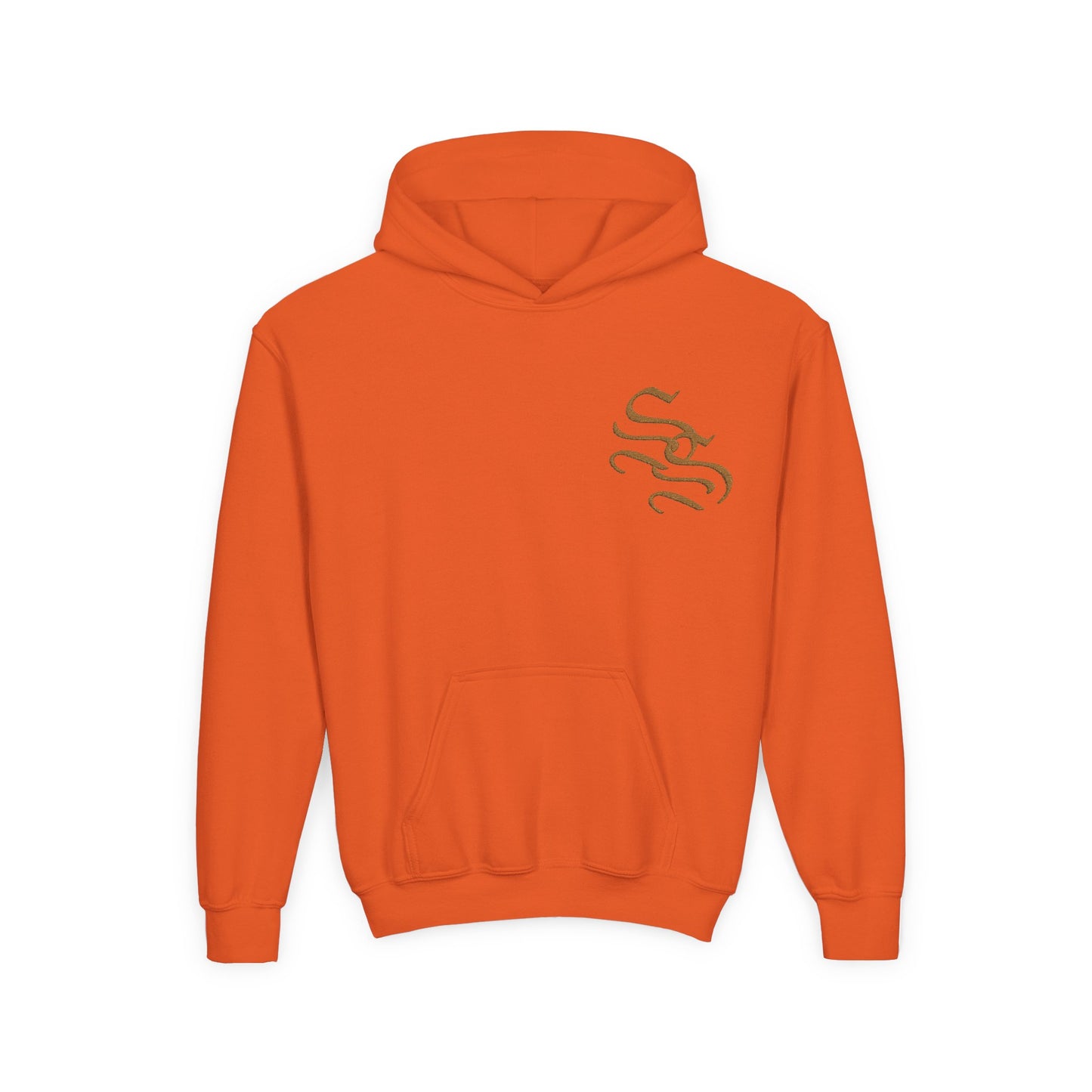 Sleek Youth Hoodie with Unique Design - Perfect for Everyday Wear