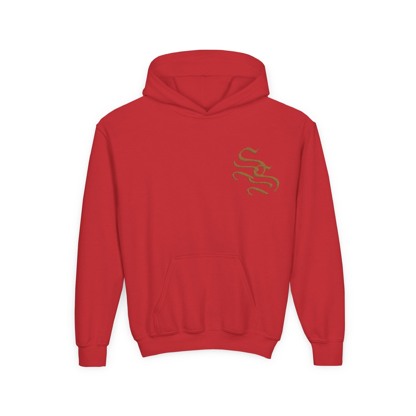 Sleek Youth Hoodie with Unique Design - Perfect for Everyday Wear