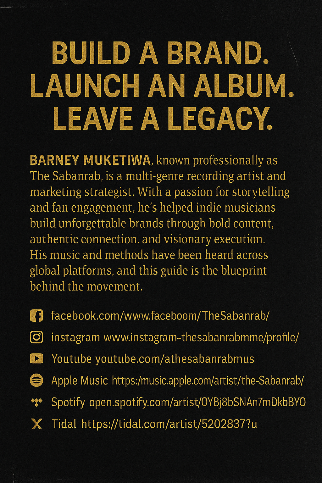 12-Month Album Marketing Masterplan *By Barney Muketiwa (The Sabanrab)